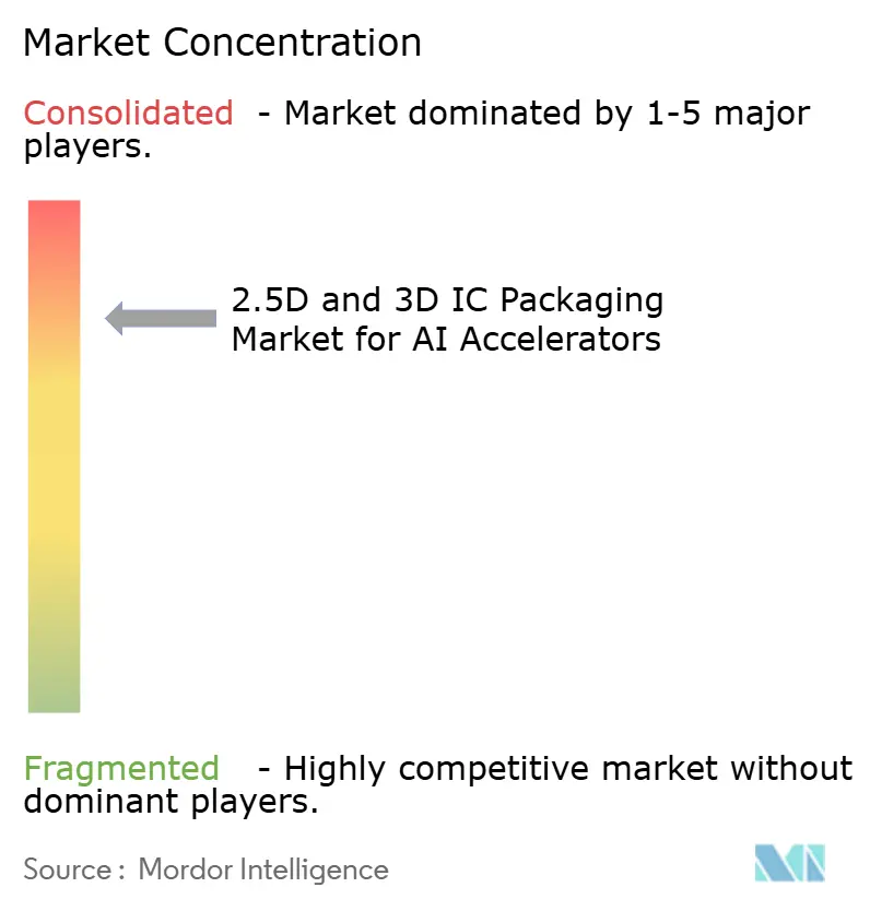 Concentração do Mercado de Embalagem IC 2.5D e 3D para Aceleradores de IA