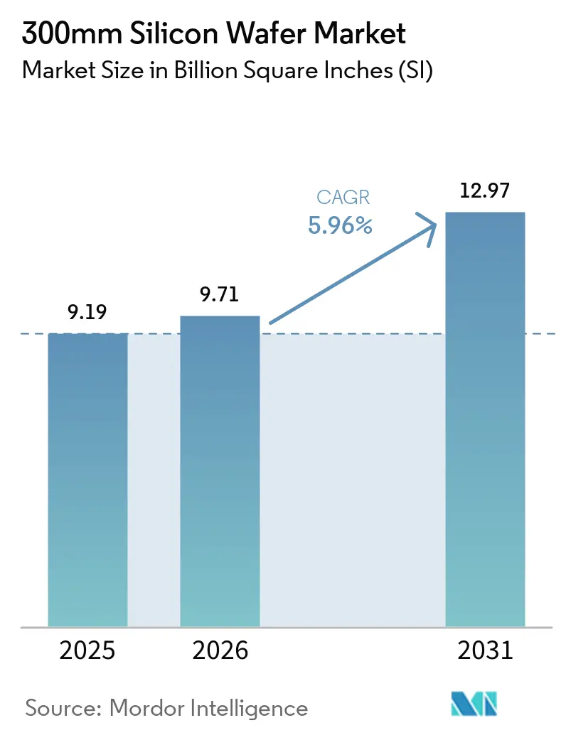 300mm Silicon Wafer Market Summary