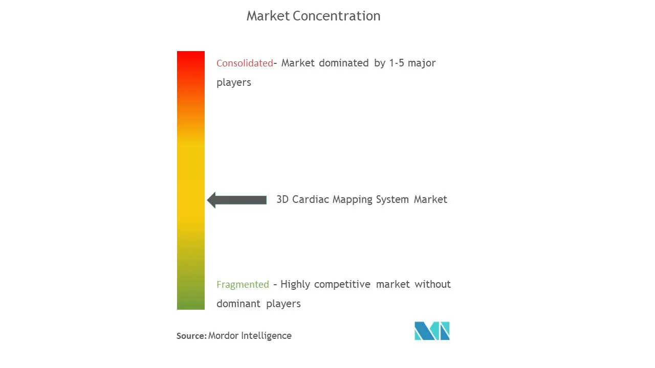 3D Cardiac Mapping Systems Market Concentration