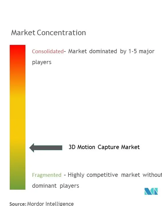 3D Motion Capture Market Concentration