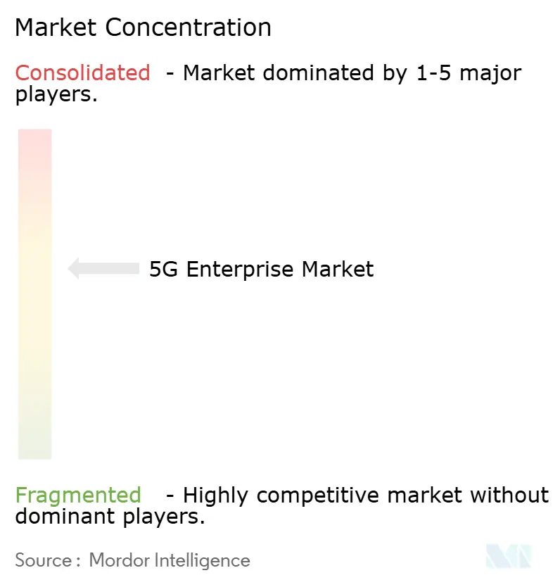 5G Enterprise Market Concentration