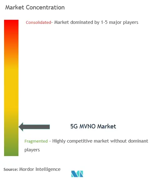 5G MVNO Market Concentration