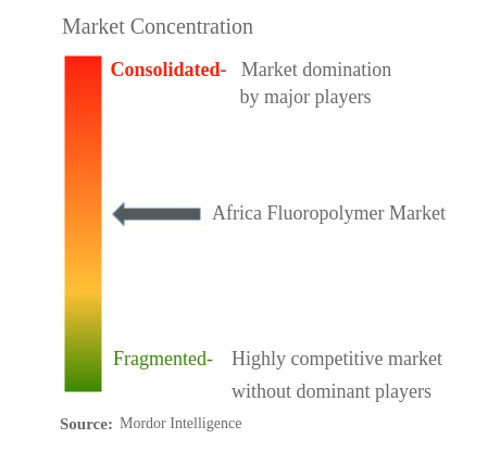 アフリカのフッ素樹脂市場集中度