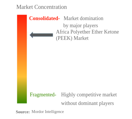 Africa Polyether Ether Ketone (PEEK) Market Concentration