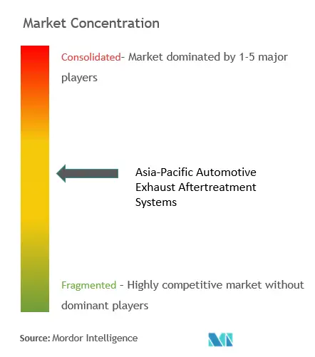 Sistemas de postratamiento de gases de escape automotrices de Asia y el PacíficoConcentración del Mercado