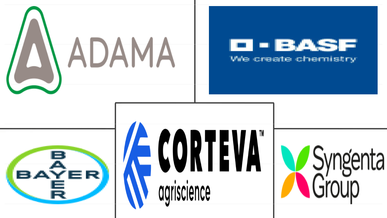 Related Companies Logo