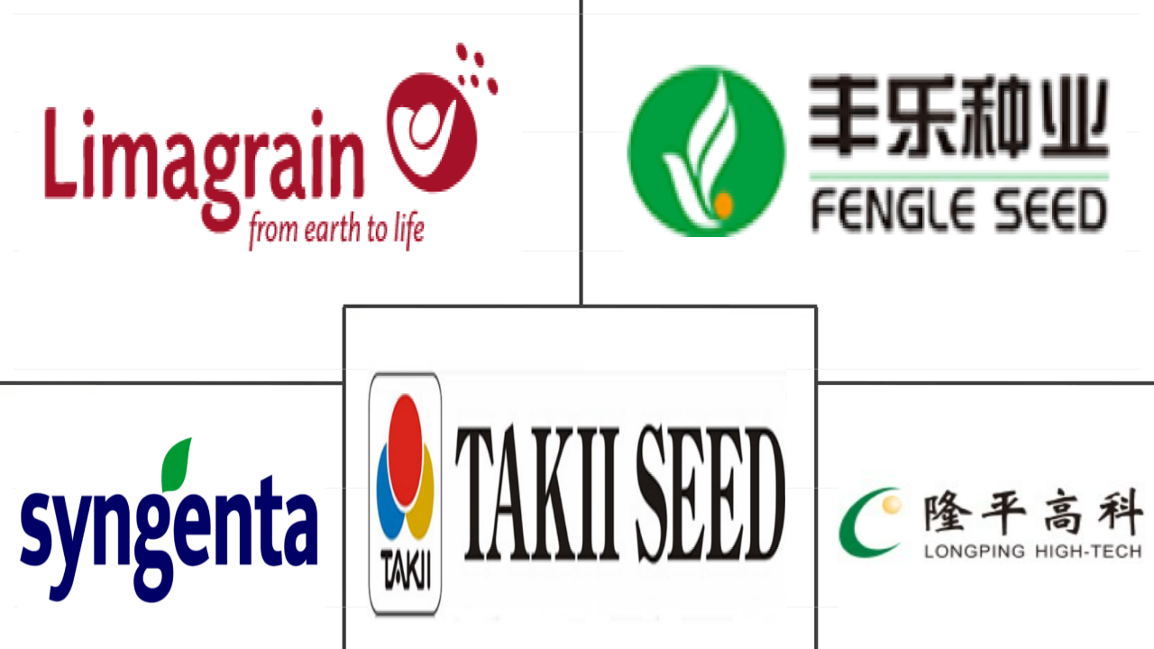  China Vegetable Seed Market Major Players