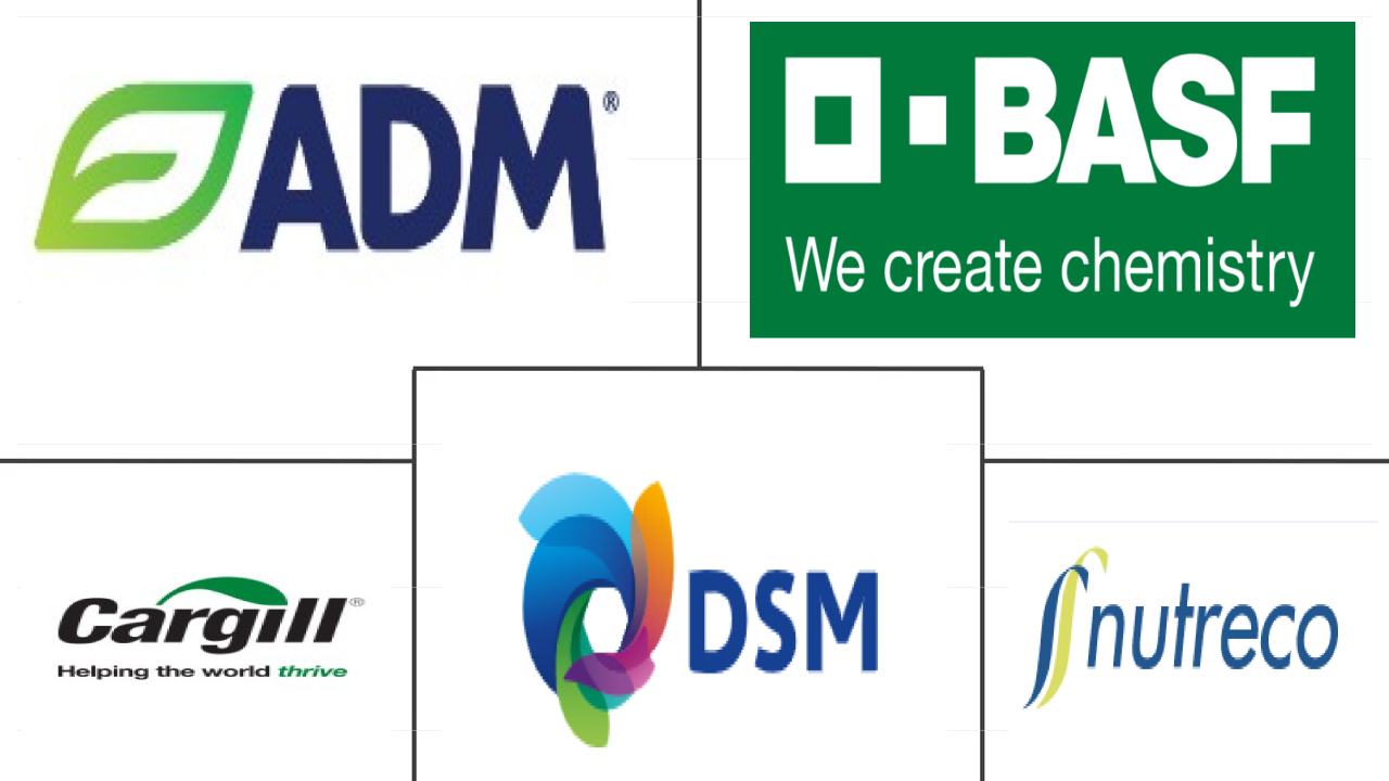 Related Companies Logo