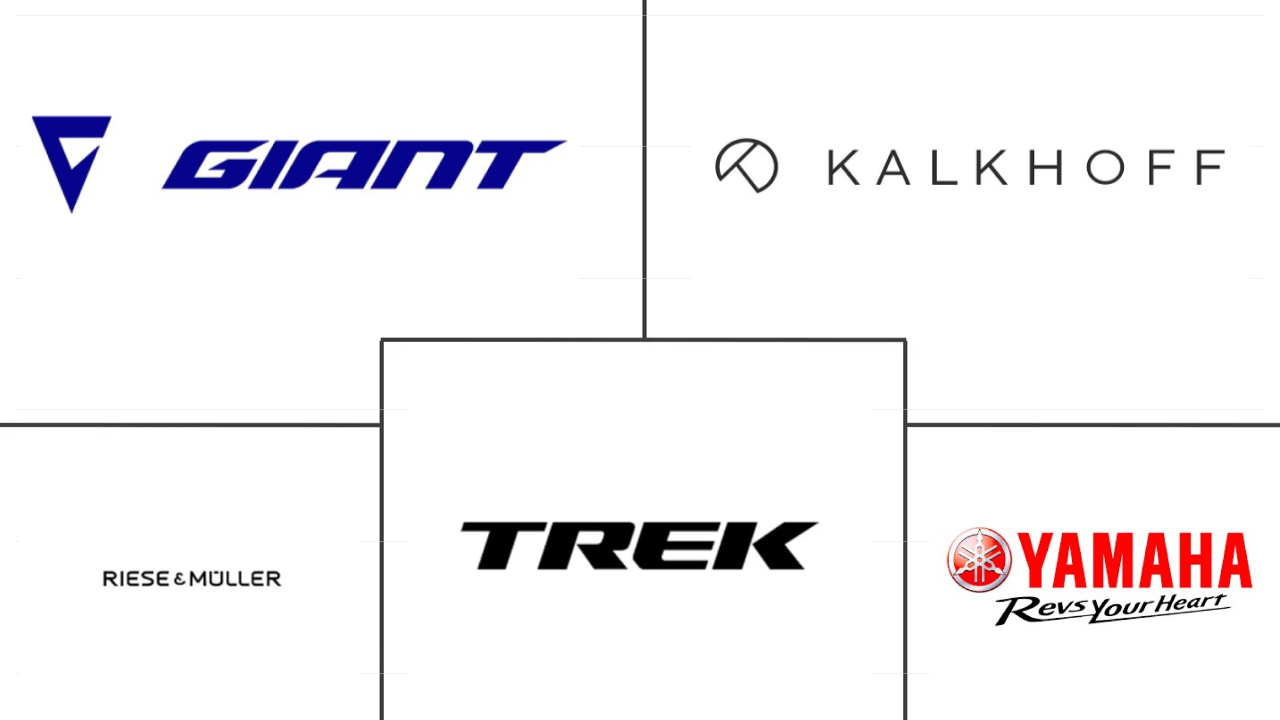  Marché européen des vélos électriques Major Players