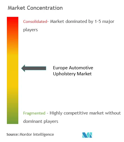 Europa AutomobilpolsterungMarktkonzentration