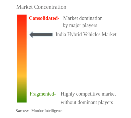 India Hybrid Vehicles Market Concentration