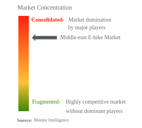 中東のE-bike市場集中度