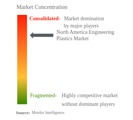 北米エンジニアリングプラスチック市場集中度