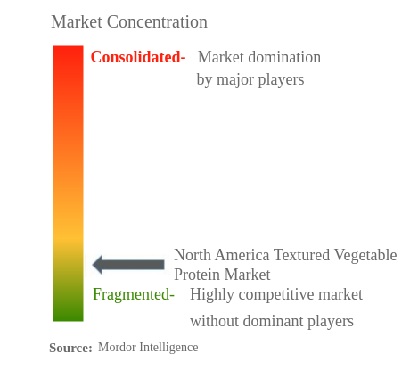北米のテクスチャード植物性タンパク質市場の集中
