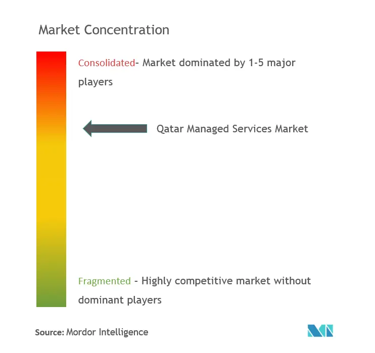 Qatar Managed Services Market Concentration