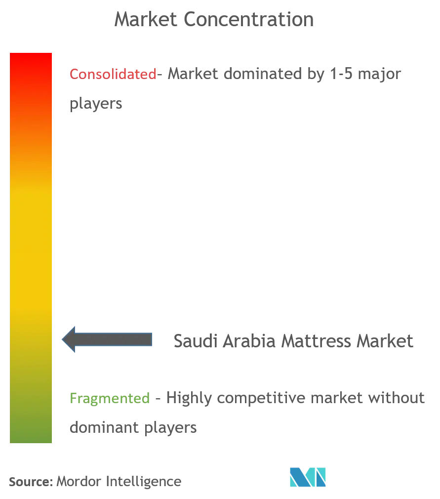 Saudi Arabia Mattress Market Concentration