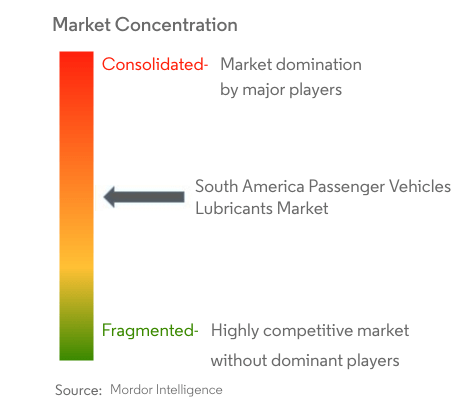 South America Passenger Vehicles Lubricants Market Concentration
