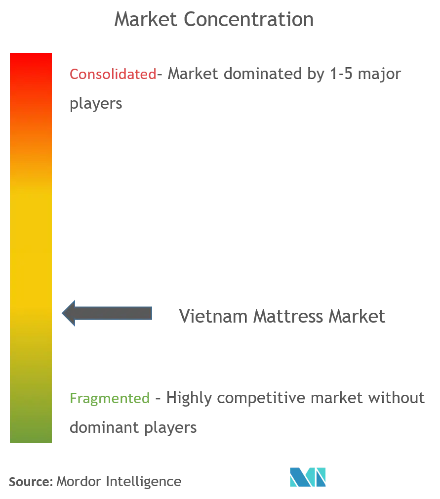 Vietnam Mattress Market Concentration