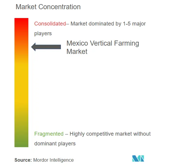 Concentração do mercado agrícola vertical no México