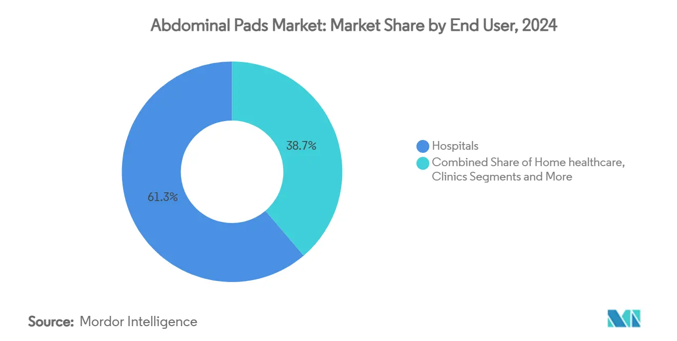 Abdominal Pads Market Share by End User, 2024