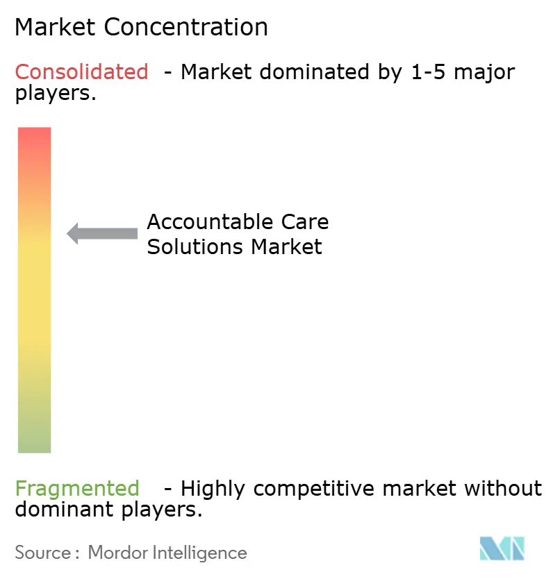 Accountable Care Solutions Market Concentration