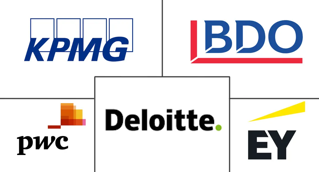Major players in Accounting Professional Services industry