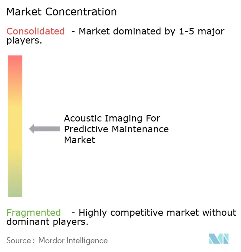 Acoustic Imaging For Predictive Maintenance Market Concentration