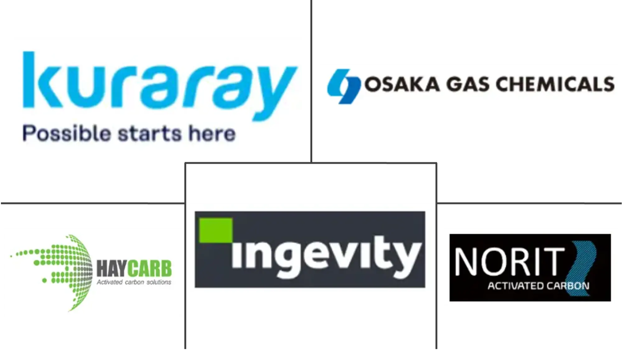 活性炭市場 主要プレーヤー