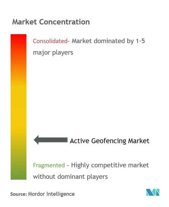 Active Geofencing Market Concentration