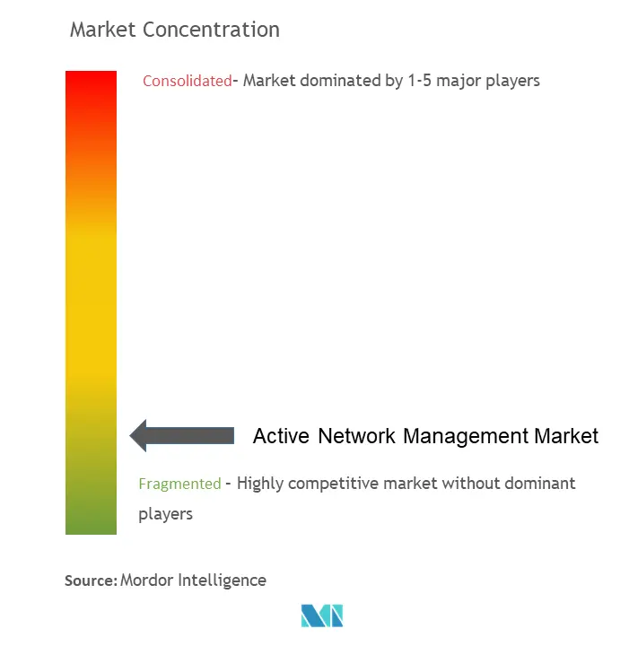 Concentración del mercado de gestión activa de redes