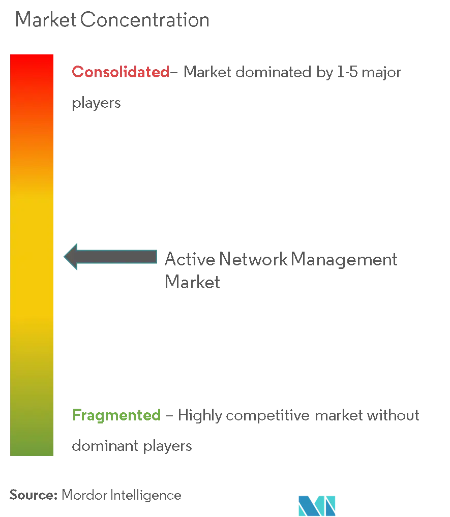 Active Network Management Market Concentration