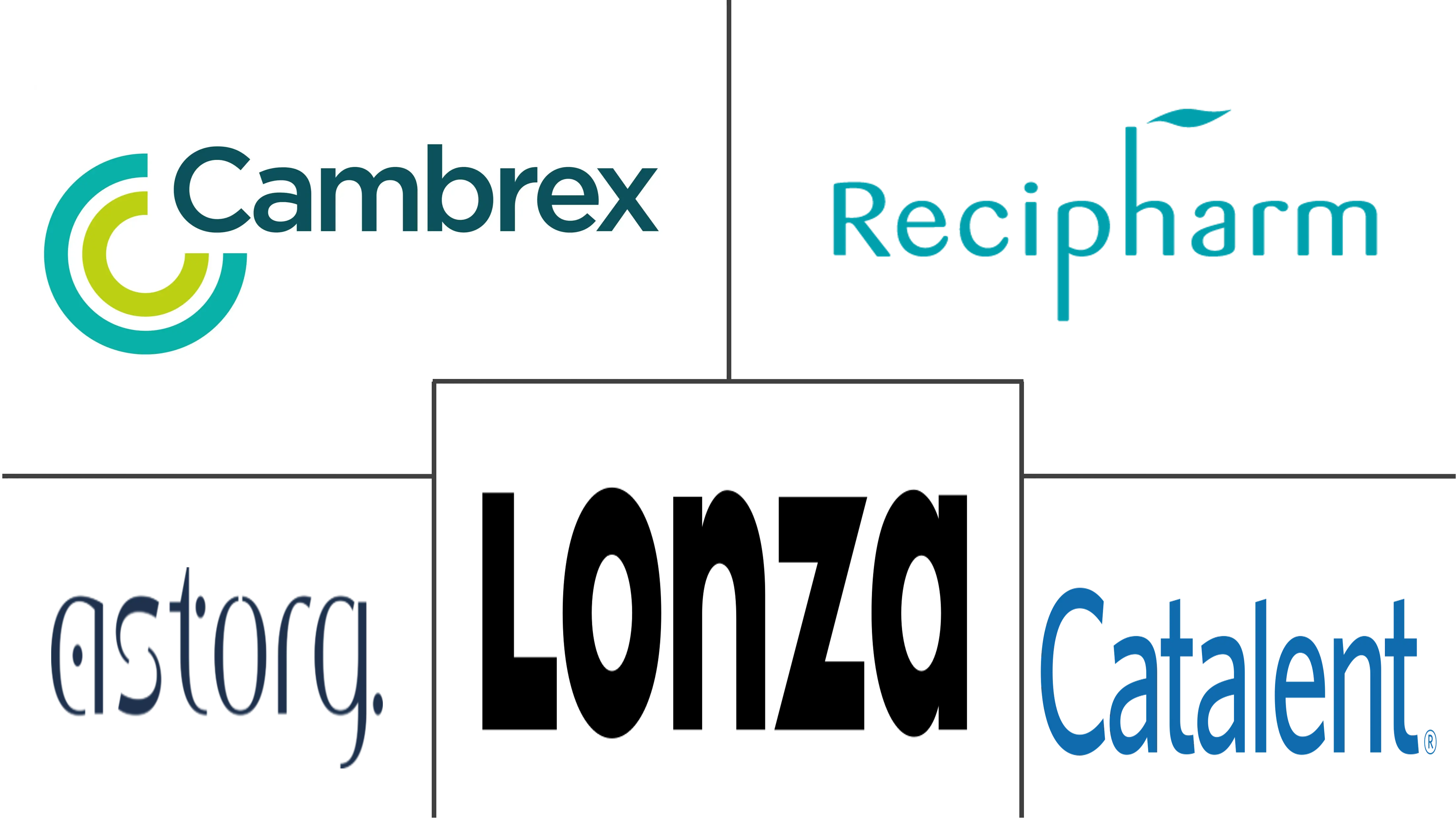 Active Pharmaceutical Ingredients CDMO Market Major Players