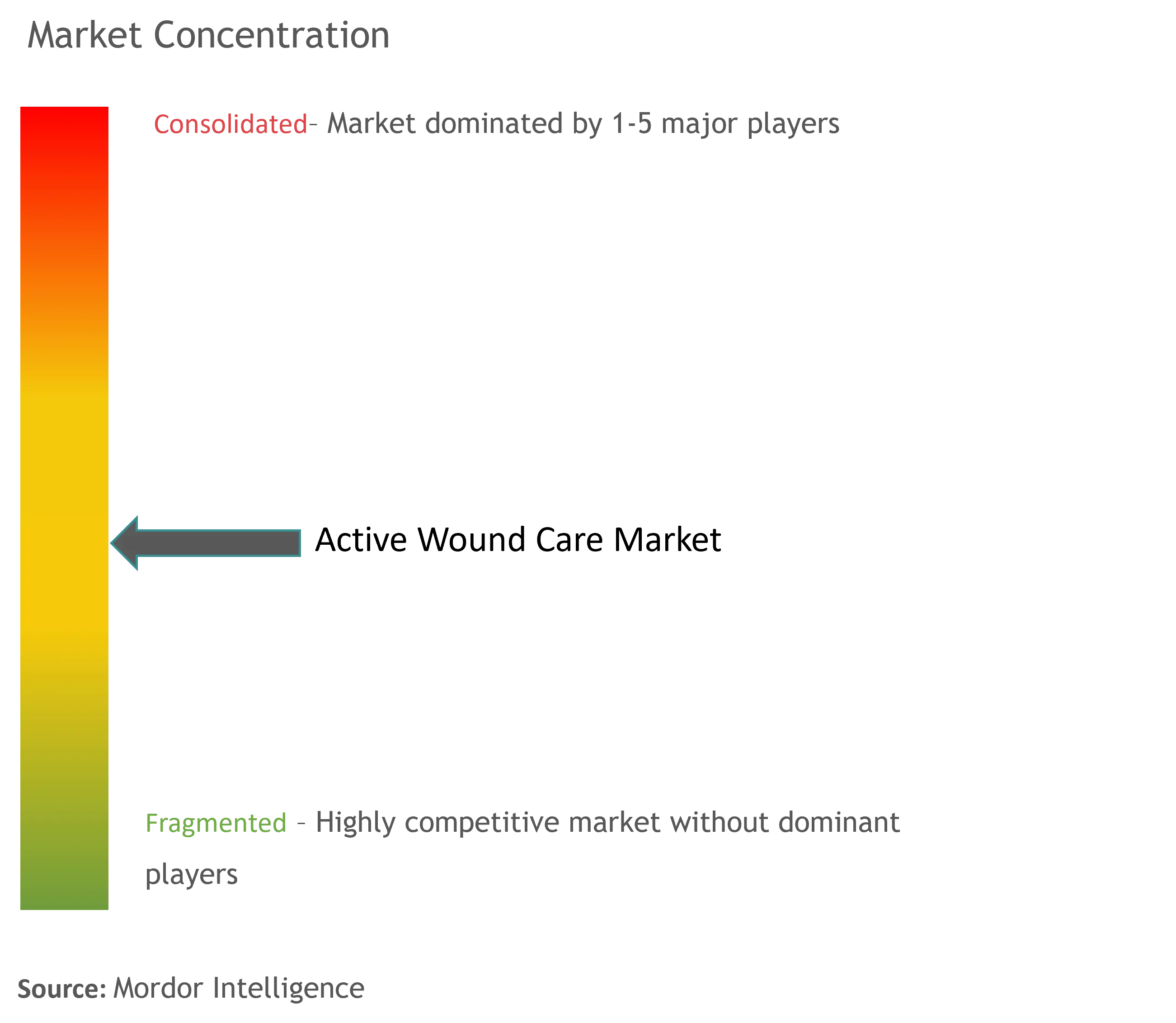 Active Wound Care Market Concentration