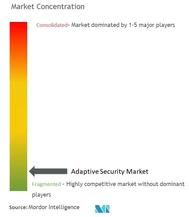 Adaptive Security Market Concentration