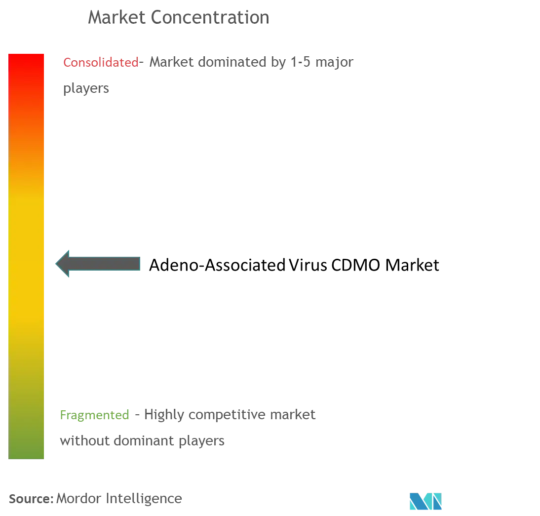 Adeno-Associated Virus (AAV) CDMO Market Concentration