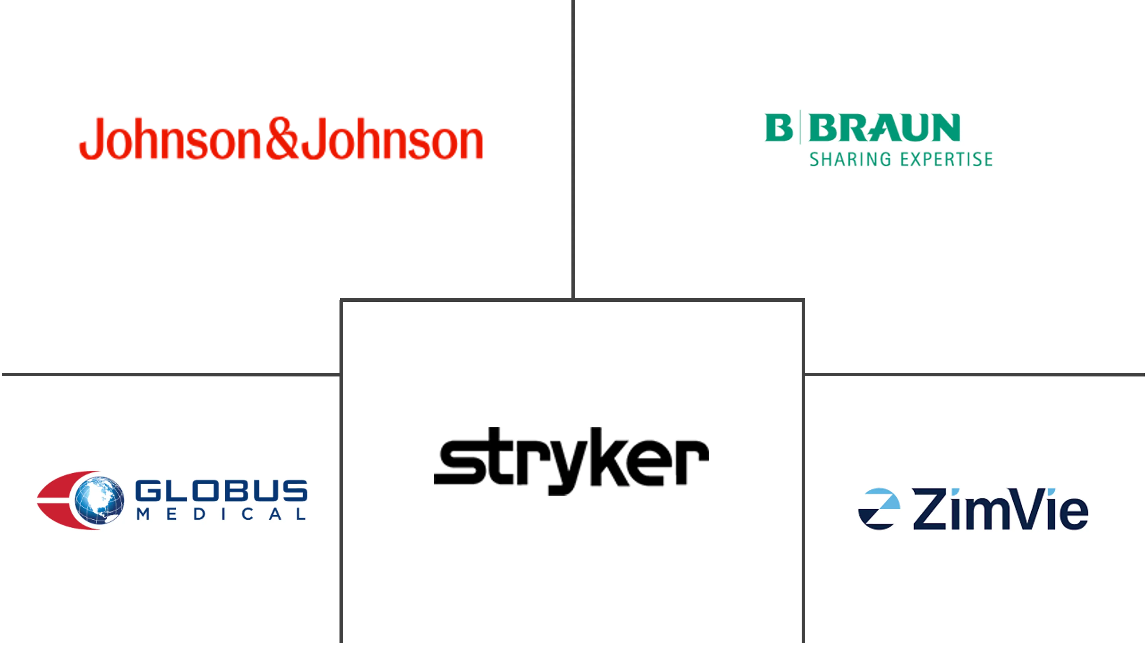 Major players in Adult Spinal Deformity industry