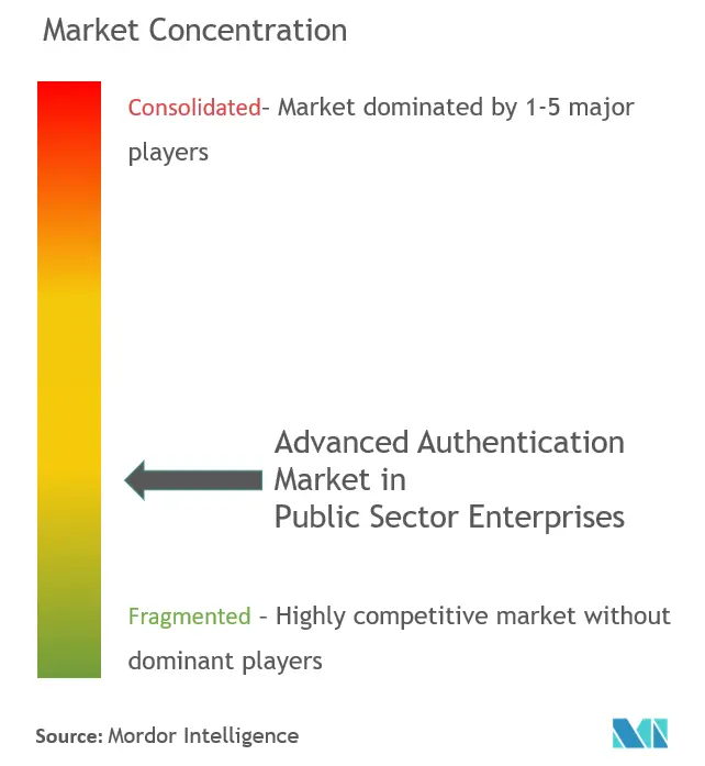 Marché de lauthentification avancée dans les entreprises du secteur publicConcentration du marché