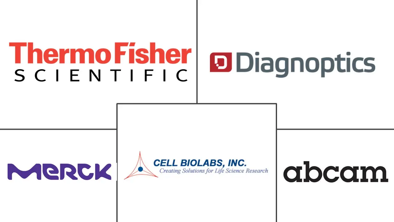 Related Companies Logo