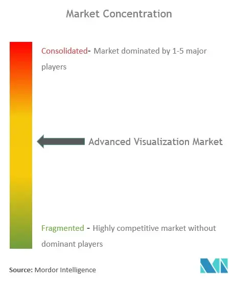 Advanced Visualization Market Concentration