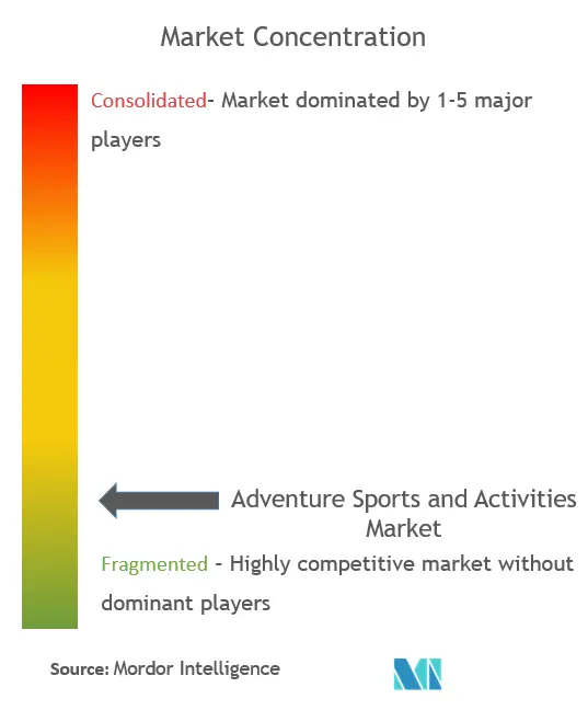 Adventure Sports And Activities Market Concentration