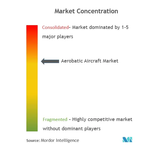 Aerobatic Aircraft Market Concentration