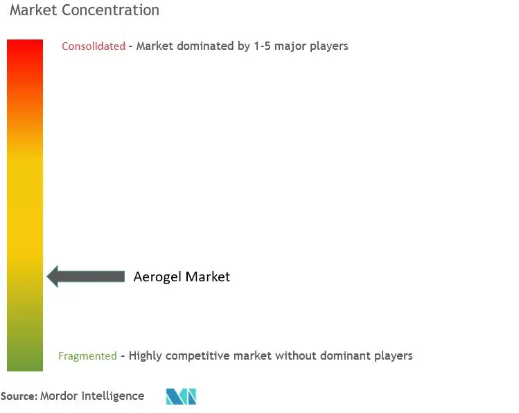 Aerogel Market Concentration