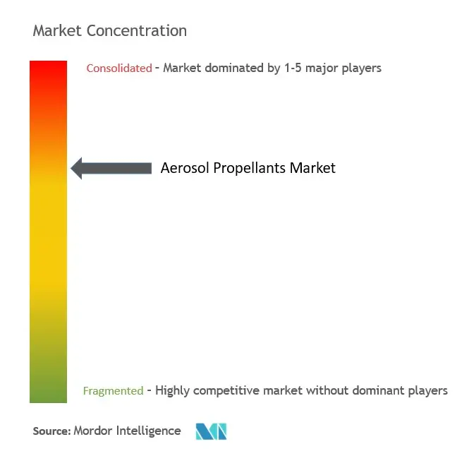 Aerosol Propellants Market Concentration