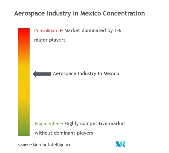 Aerospace Industry In Mexico Market Concentration