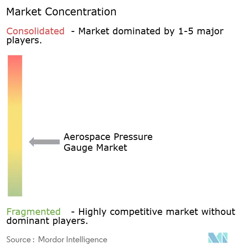 Aerospace Pressure Gauge Market Concentration