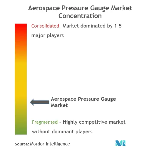 Aerospace Pressure Gauge Market Concentration