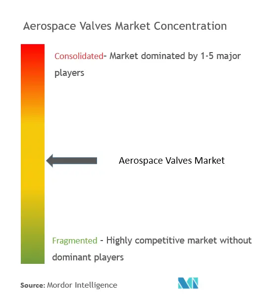 Aerospace Valves Market Concentration