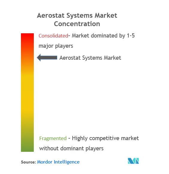 Aerostat Systems Market Concentration