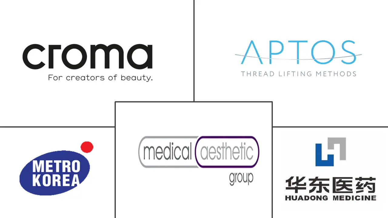 Aesthetic Threads Market  Major Players