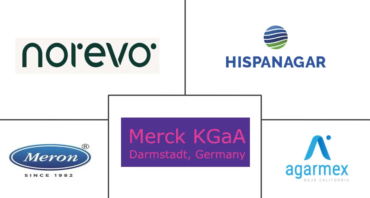 Major players in Africa Agar industry